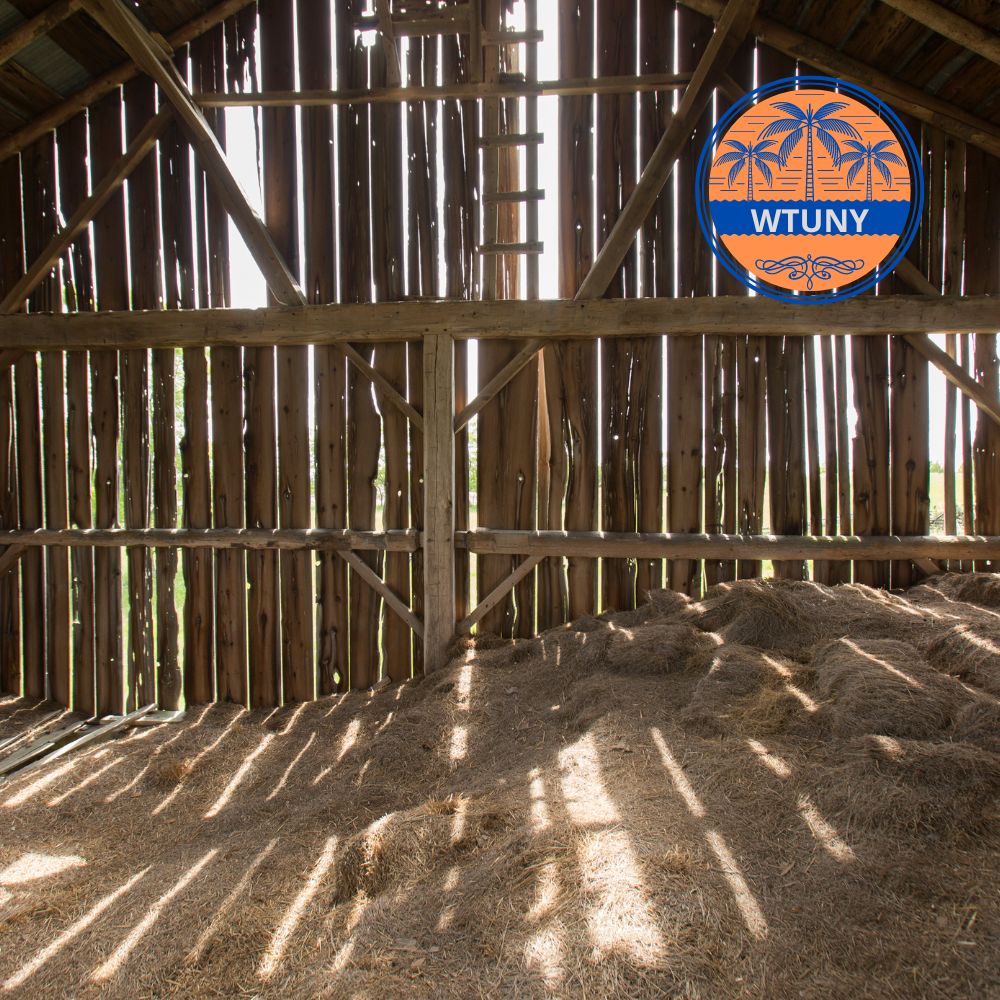 Barn Architecture